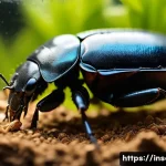 Home 20 장수풍뎅이 번식 방법 - A detailed close-up scene of a healthy stag beetle habitat setup inside a spacious terrarium, featur...
