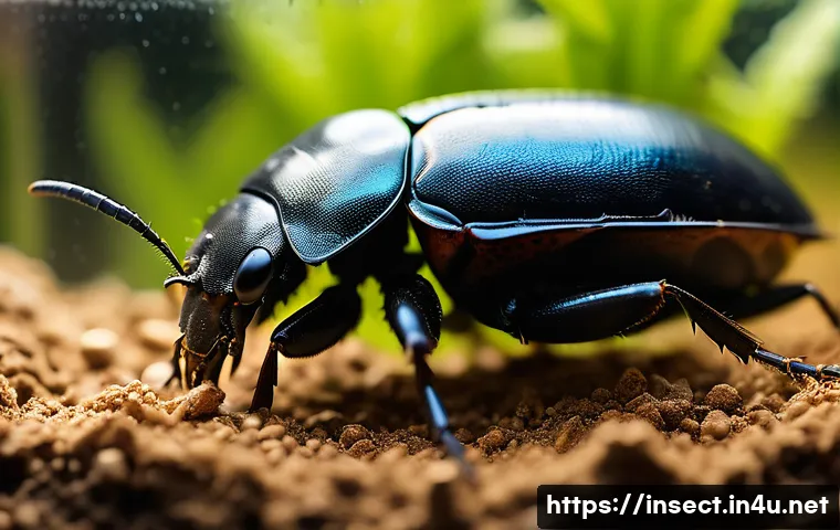 장수풍뎅이 번식 방법 - A detailed close-up scene of a healthy stag beetle habitat setup inside a spacious terrarium, featur...